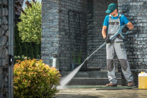 Best Rust Removal  in Greenvle, IL