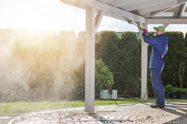 Best Roof Washing  in Greenvle, IL