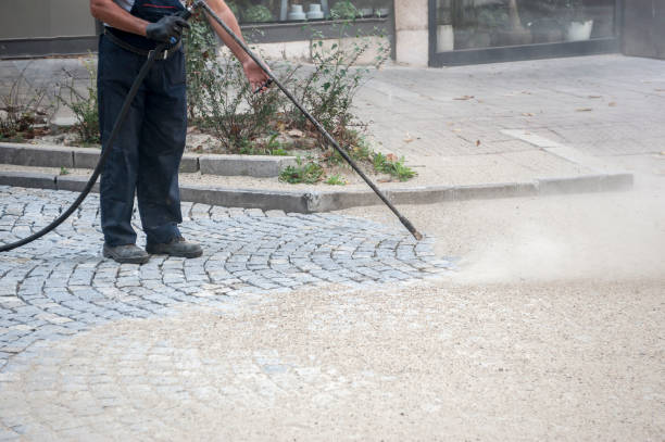 Best Parking Lot and Garage Cleaning  in Greenvle, IL