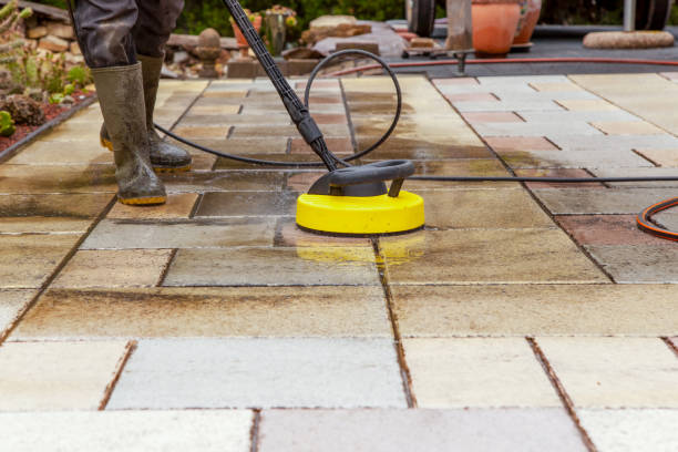 Best Sign and Awning Cleaning  in Greenvle, IL